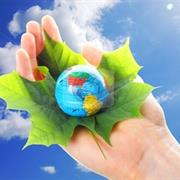 Never Stop Looking for More Ways to Be Green