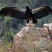 Hopper Mountain National Wildlife Refuge