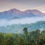 Jamaica: Blue Mountain Peak (7,402 Ft)