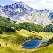 Zelengora Mountain