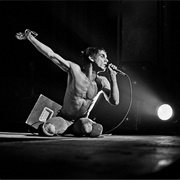 Iggy Pop (The Stooges)