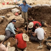 Go on an Archeological Dig