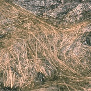 Pele's Hair Lava (Volcano Magma Stretched Out Into a Glass-Like Form)
