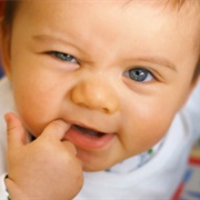 Best Teething Aide Is Brandy on a Baby&#39;s Gums