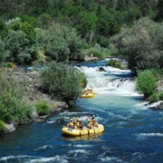 Rafting the Rogue River