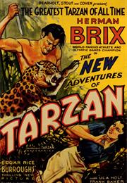 The New Adventures of Tarzan (1935)
