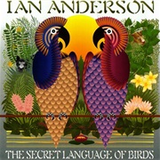 Ian Anderson - The Secret Language of Birds