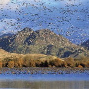Butte Sink National Wildlife Refuge