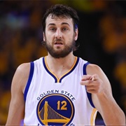 Andrew Bogut