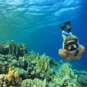 Go Snorkling in Mexico