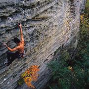 Enjoy the Natural Beauty at Red River Gorge.