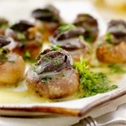 Playing the Bordeaux Gastronome