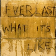 Everlast - What It&#39;s Like