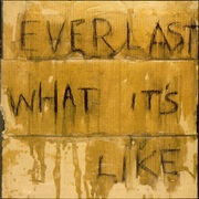 Everlast - What It's Like