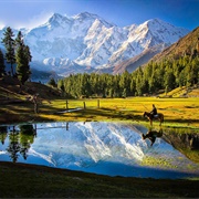 Fairy Meadows