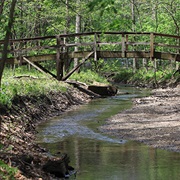 Spitler Woods State Park, Illinois