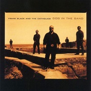 Frank Black &amp; the Catholics - Dog in the Sand
