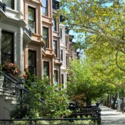 Park Slope