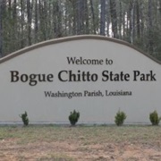 Bogue Chitto State Park