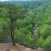 Occoneechee Mountain State Natural Area, North Carolina