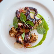 Giant Pacific Octopus