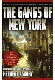 The Gangs of New York (Herbert Astbury)