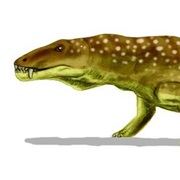 The Dawn of the Dinosaurs