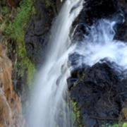 Mapleton Falls National Park (QLD)