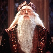 Professor Albus Dumbledore