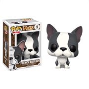 French Bulldog