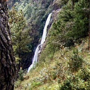 Mountain Pine Ridge Forest Reserve, Belize