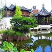 Portland Classical Chinese Gardens