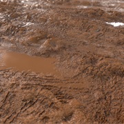 Mud