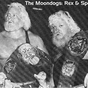 The Moondogs