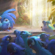 Spix's Macaw Tribe