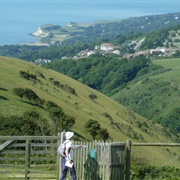Ventnor Downs, Isle of Wight