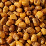 Roasted Corn-Kavrulmuş Mısır
