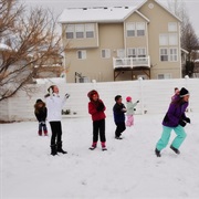 Have a Snowball Fight