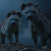 Hyenas