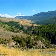 Bighorn National Forest