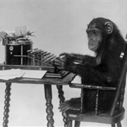 Infinite Monkey Thought Experiment