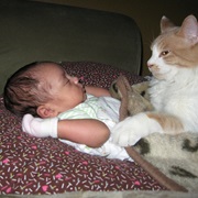 A Cat Will Steal a Baby's Breath