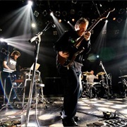 Collections of Colonies of Bees