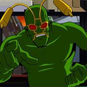 Ambush Bug