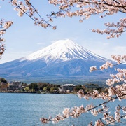 Mt. Fuji - Japan