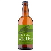 Wild Hare