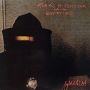 Robyn Hitchcock and the Egyptians - Fegmania!