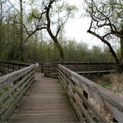 Juanita Bay Park (Kirkland)