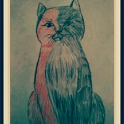 Calico Cat Angelina Jensen