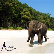 Andaman-Nicobar Islands, India